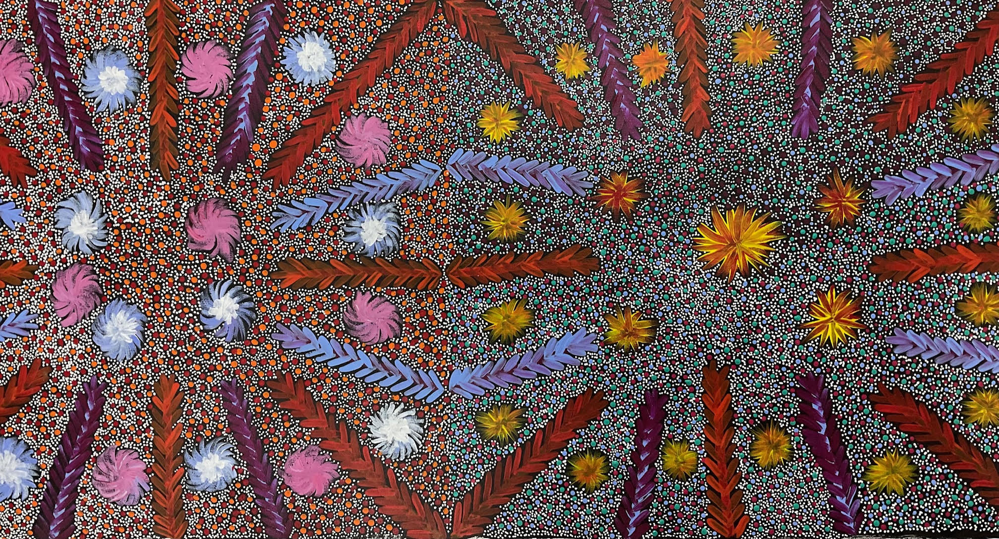 Bush Medicine plants