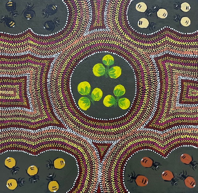 Hunting For Bush Food