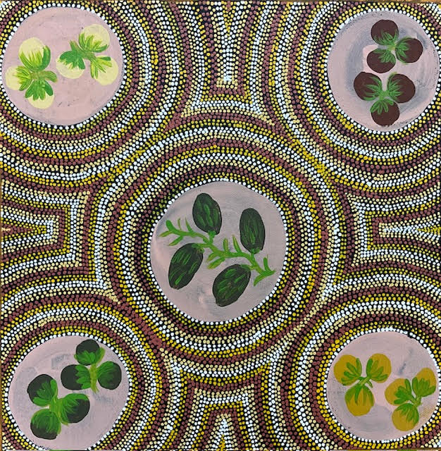 Collecting Bush Tomatoes