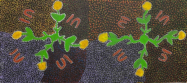 Women harvesting bush tomatoes