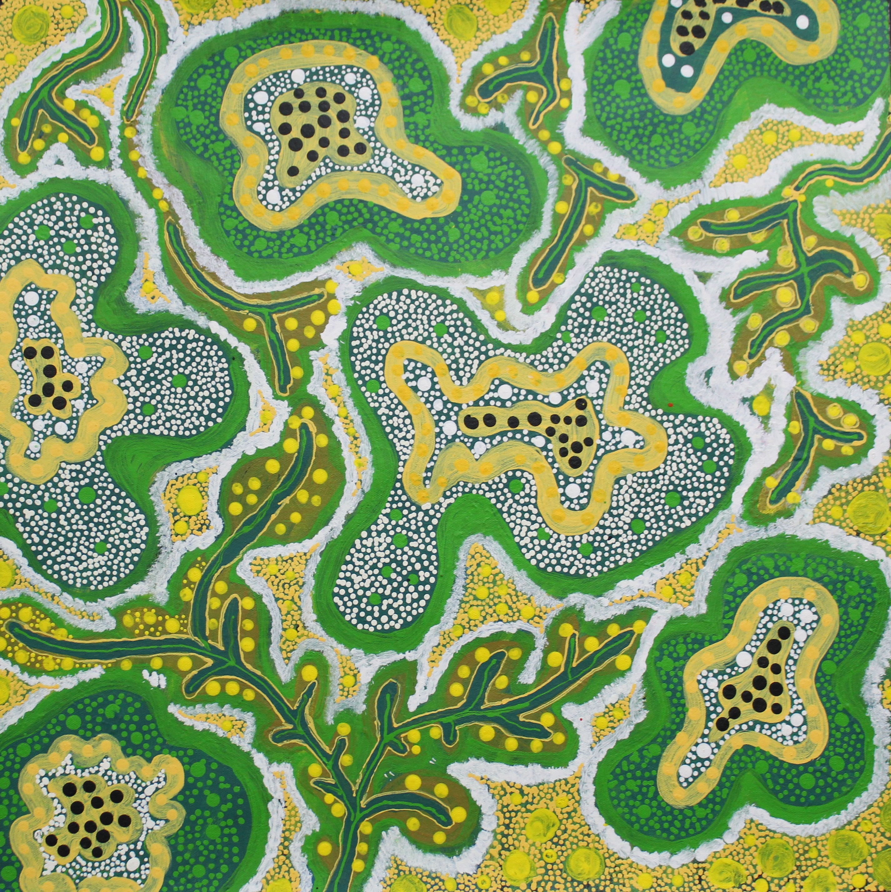 Bush Medicine Flowers