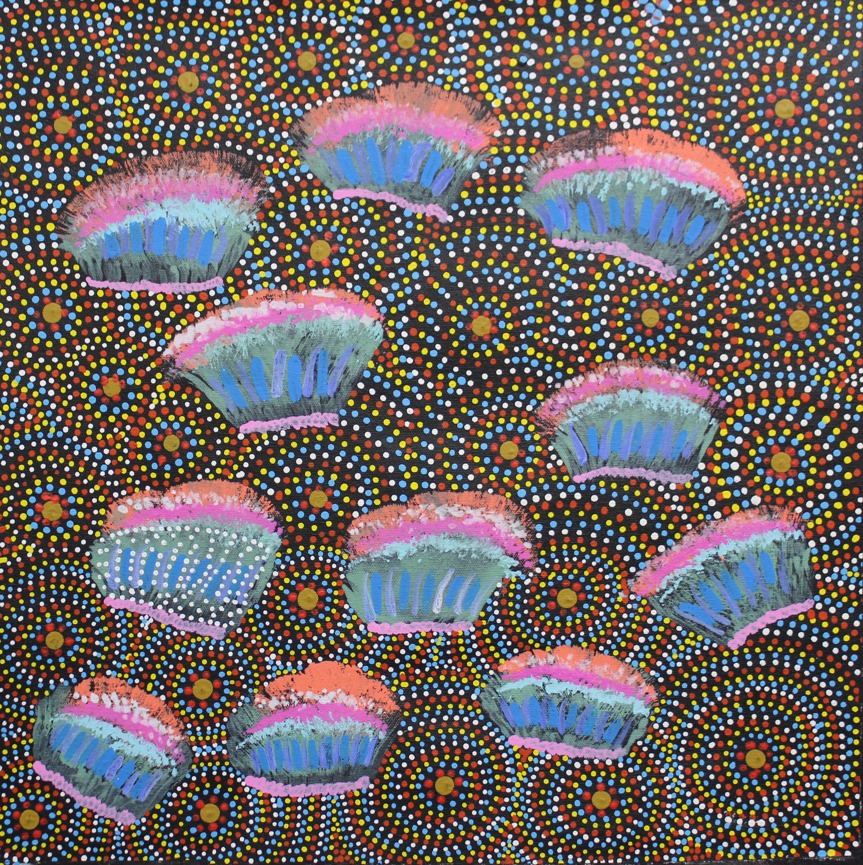 Native Flowers found on Country