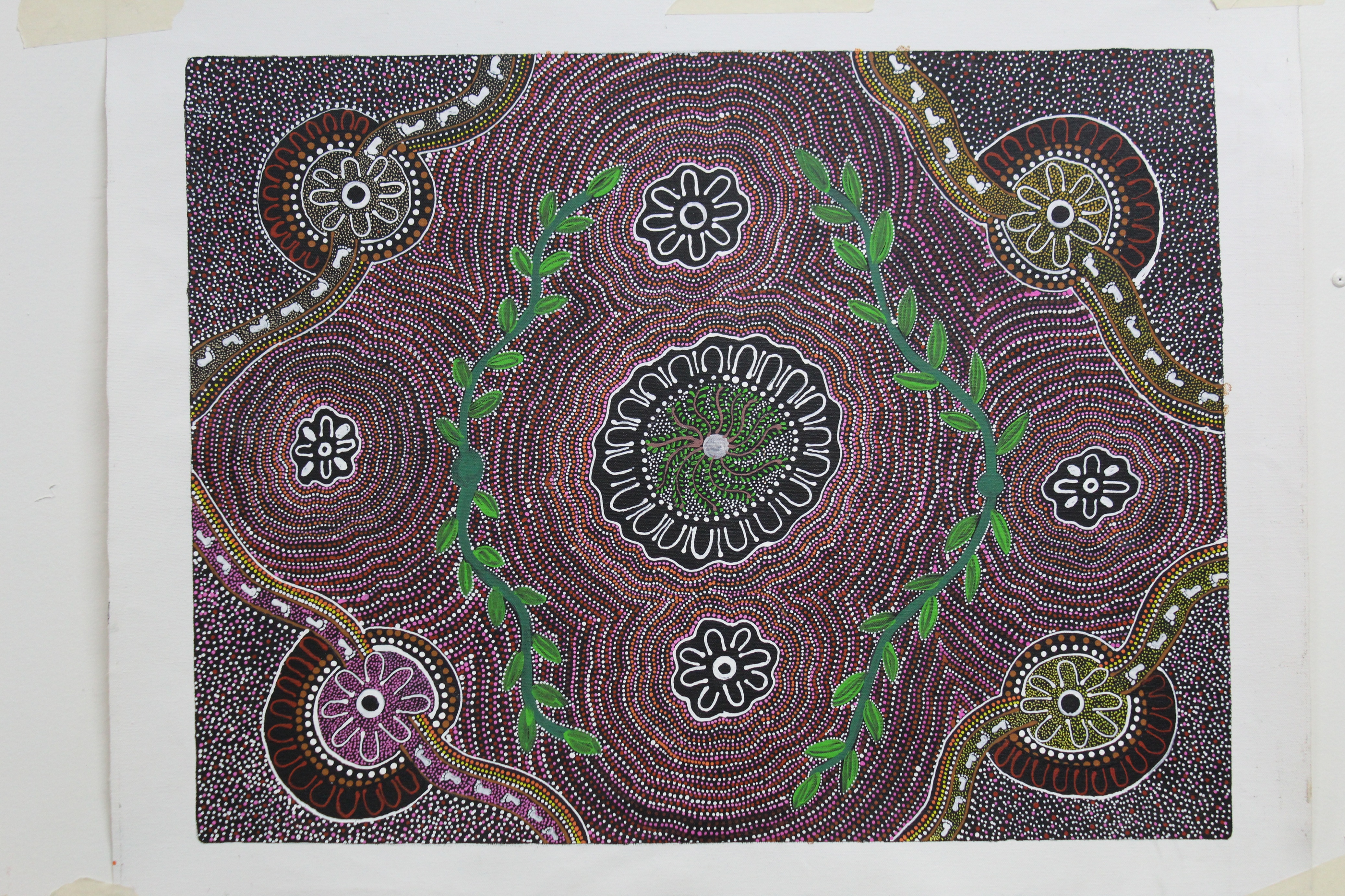 Women Collecting Bush Medicine