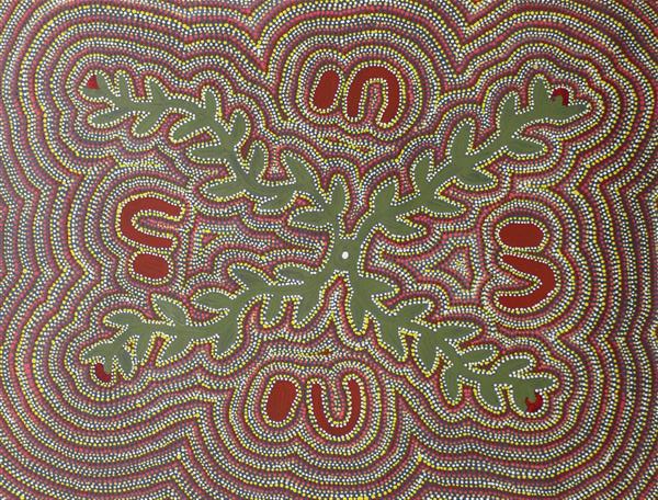 Saltbush (ntjamanya)