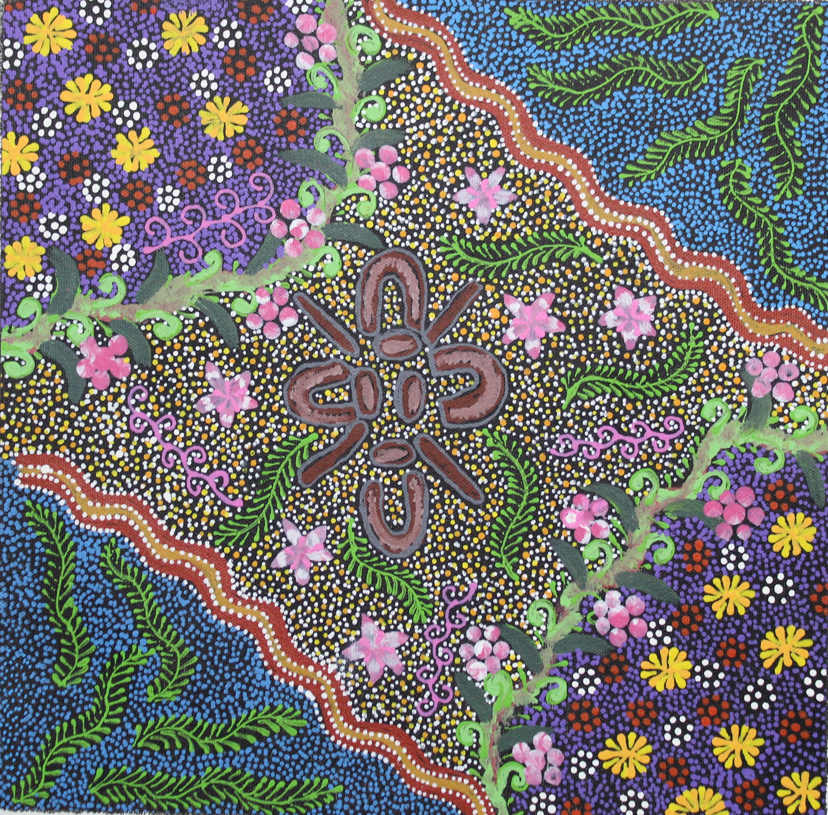 Bush Medicine Flowers