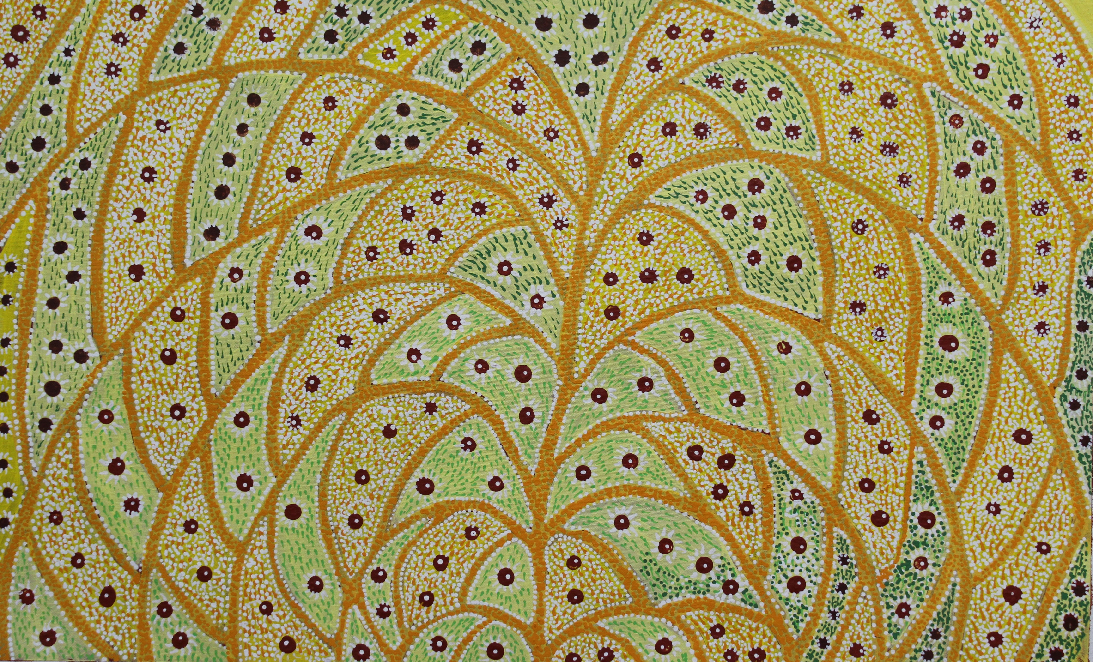 Bush Medicine Leaves