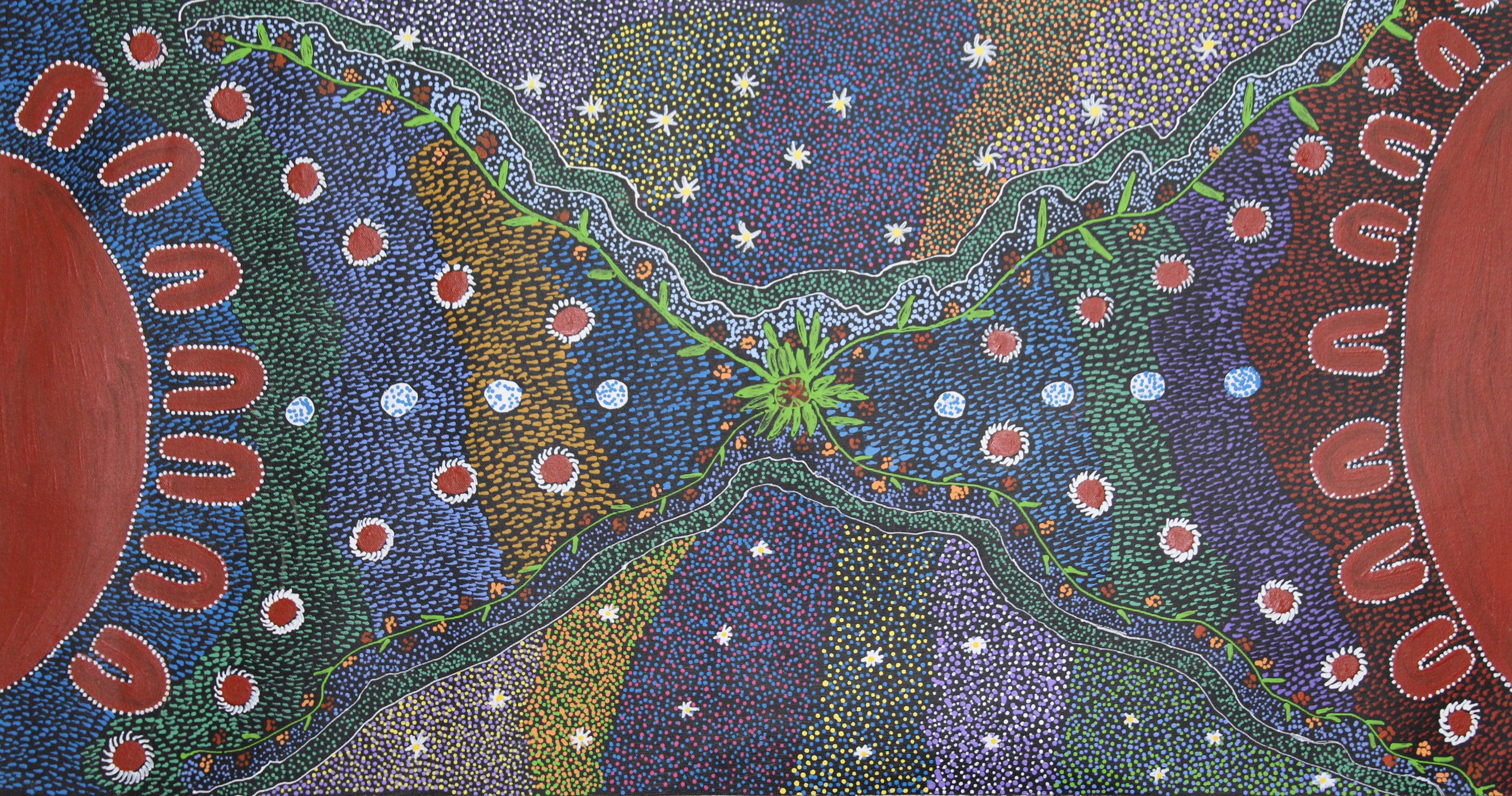 Women Collecting Bush Medicine