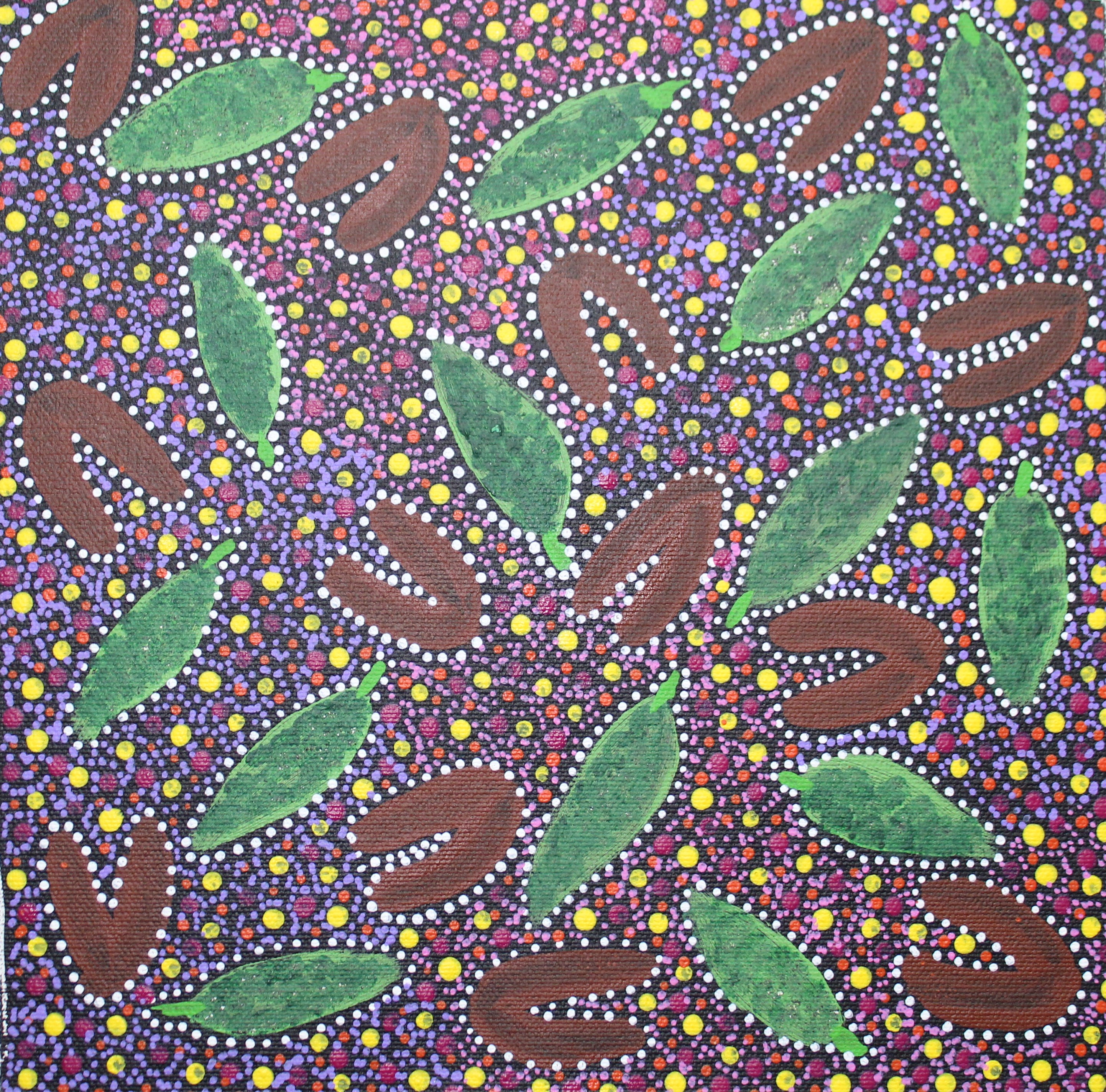 Women collecting bush medicine