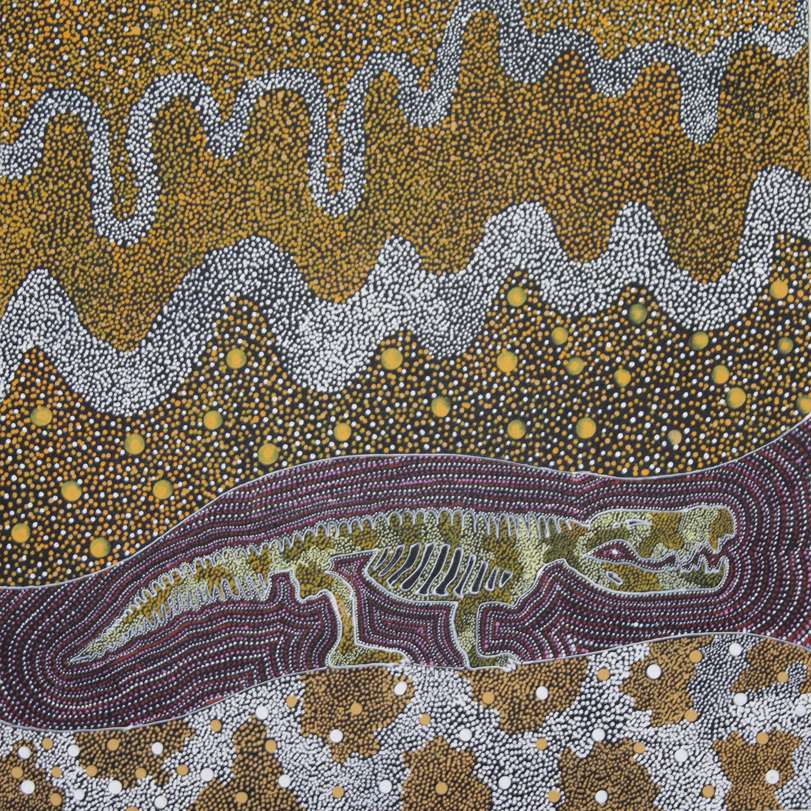 Alcoota Fossils site 8 Million years old