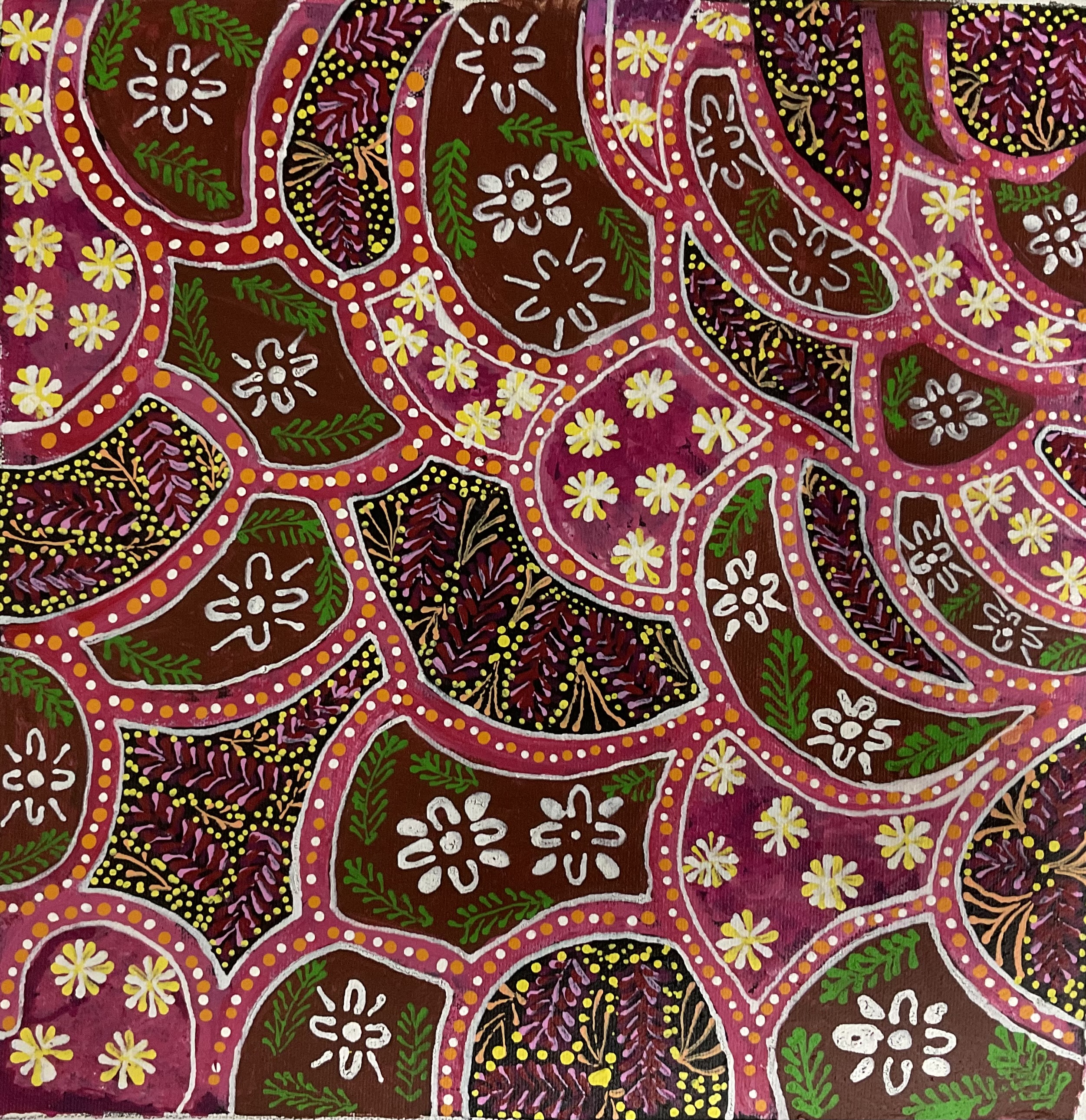 Women Collecting Bush Medicine